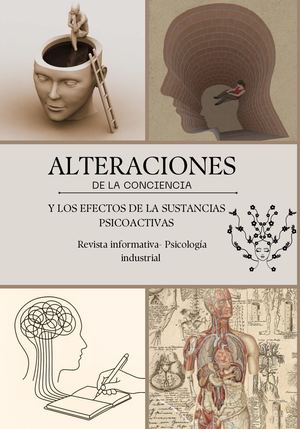 Revista Damaris Marchorro