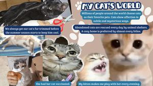 Scrabook