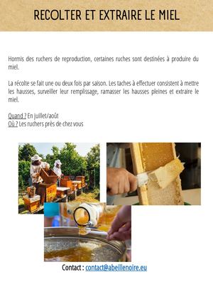 Canso Fiches Presentation Actions
