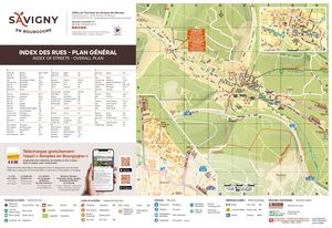 Carto Savigny