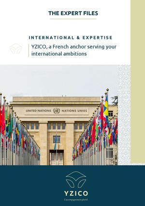 INTERNATIONAL & EXPERTISE