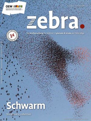 zebra_118 Juli 2026