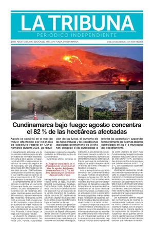 La Tribuna N° 252 Alta