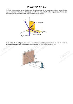 Practica 01 Estatica Ejercicios Tipeados Con Marca De Agua