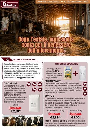Volantino Settembre 2026
