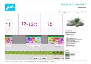 20260306 PL Ploegstraat Gedetailleerd Beplantingsplan 1 Plantvak 5
