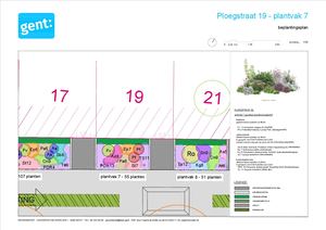 20260306 PL Ploegstraat Gedetailleerd Beplantingsplan 1 Plantvak 7