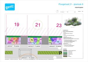 20260306 PL Ploegstraat Gedetailleerd Beplantingsplan 1 Plantvak 8