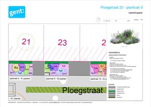 20260306 PL Ploegstraat Gedetailleerd Beplantingsplan 1 Plantvak 9