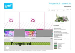 20260306 PL Ploegstraat Gedetailleerd Beplantingsplan 1 Plantvak 10