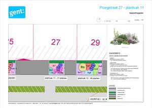 20260306 PL Ploegstraat Gedetailleerd Beplantingsplan 1 Plantvak 11 1