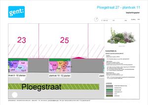 20260306 PL Ploegstraat Gedetailleerd Beplantingsplan 1 Plantvak 11