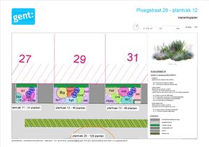 20260306 PL Ploegstraat Gedetailleerd Beplantingsplan 1 Plantvak 12