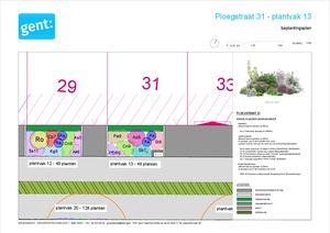 20260306 PL Ploegstraat Gedetailleerd Beplantingsplan 1 Plantvak 13