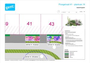 20260306 PL Ploegstraat Gedetailleerd Beplantingsplan 1 Plantvak 14