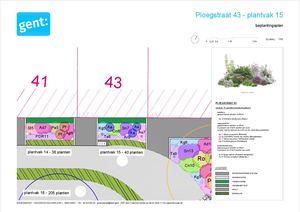 20260306 PL Ploegstraat Gedetailleerd Beplantingsplan 1 Plantvak 15