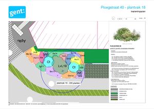 20260306 PL Ploegstraat Gedetailleerd Beplantingsplan 1 Plantvak 18 A3