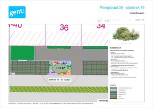 20260306 PL Ploegstraat Gedetailleerd Beplantingsplan 1 Plantvak 19 1