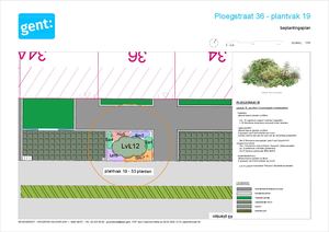 20260306 PL Ploegstraat Gedetailleerd Beplantingsplan 1 Plantvak 19