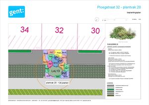 20260306 PL Ploegstraat Gedetailleerd Beplantingsplan 1 Plantvak 20
