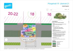 20260306 PL Ploegstraat Gedetailleerd Beplantingsplan 1 Plantvak 21
