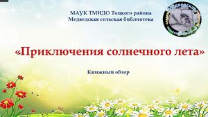 Обзор книг для летнего чтения вне школьной программы для детей 2 9 классов Приключения солнечного лета