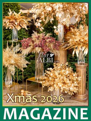 2026 XMAS Magazine