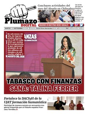 Plumazo Digital 793