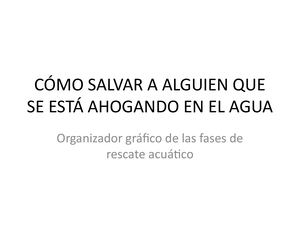 Rescate Acuatico Organizador Grafico