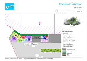 Overzicht Beplantingsplannen Ploegstraat