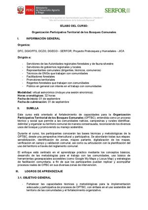 Revision Del Sílabo De Optbc Dgeco