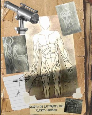 Bodyparts