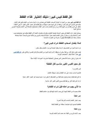 اكل قطط كيس كبير دليلك لاختيار غذاء القطط وتخزينه بطريقة صحيحة