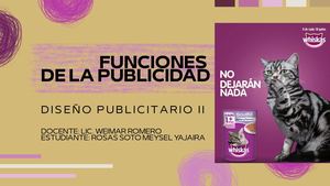 Funciones De La Publicidad