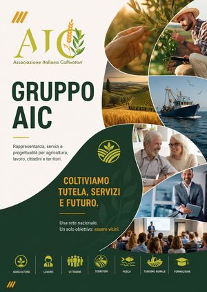 Brochure Gruppo Aic Bolletta Expert 34p Editabile