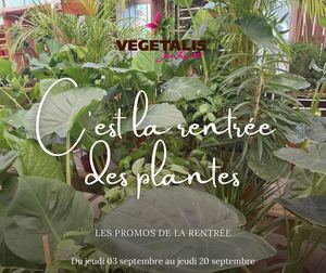E-catalogue septembre 2026 - jardinerie vegetalis