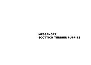 Messenger Web