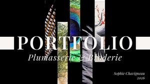 Portfolio Sophie Chavigneau Brodeuse Et Plumassiere