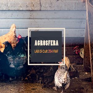 AGROSFERA