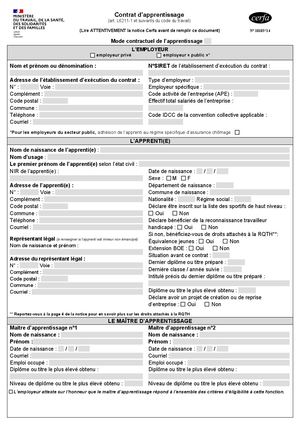 Cerfa 14 Dcg 2 Ans (Ancien Bts)