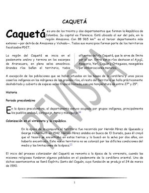 Revista
