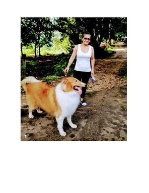 Max 1