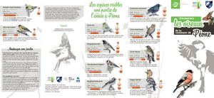 Dépliant : Découvrons les oiseaux de la commune de Péone