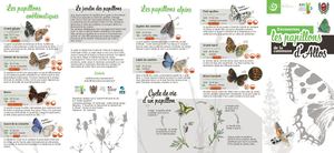 Dépliant : Découvrons les papillons de la commune d'Allos