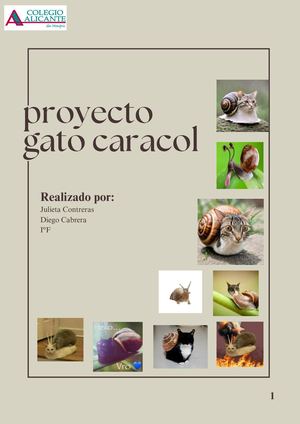 Proyecto Gato Caracol 20260902 103422 0000