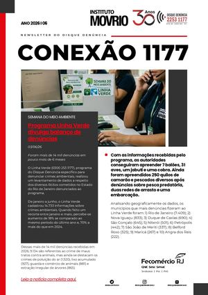 Junho Newsletter 2026