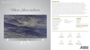 Blue Macaubas