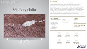 Fusion Violla