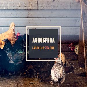 AGROSFERA