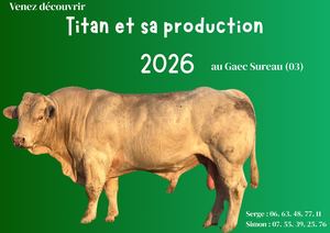 Titan et sa production